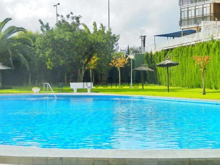 Apartamento En 1ª Linea Con Piscina Alicante Exterior photo